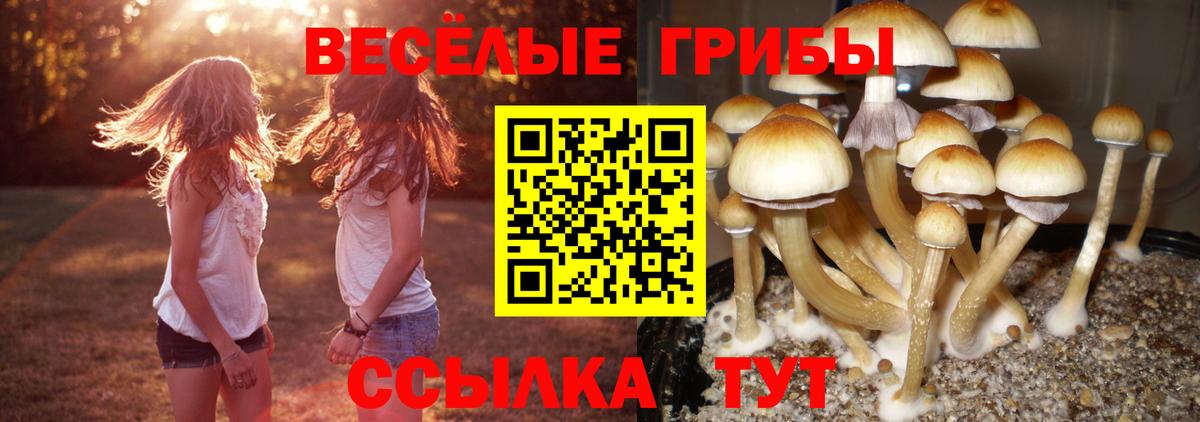 Тобольск  Псилоцибиновые грибы мицелий  Вход с VPN 