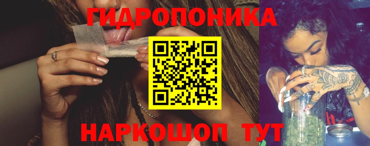 Канабис семена  МАРИХУАНА ГИДРОПОН  Бошки марихуана OG Kush  Тобольск  Бошки Шишки VHQ  Вход с VPN 